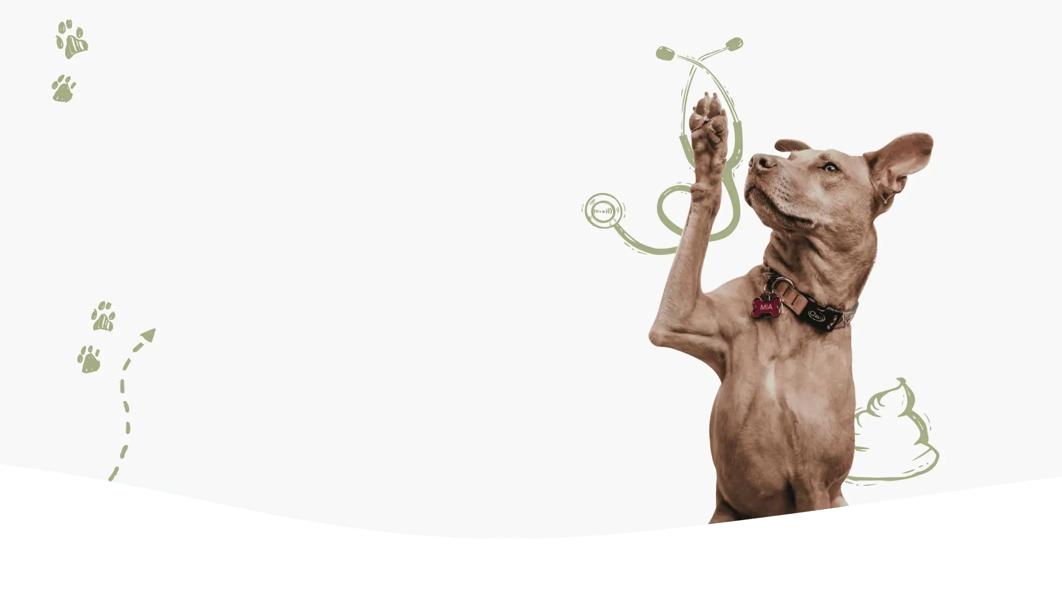 Happy dog raising a paw for The Doo Doo Doctor pet waste removal in Cincinnati