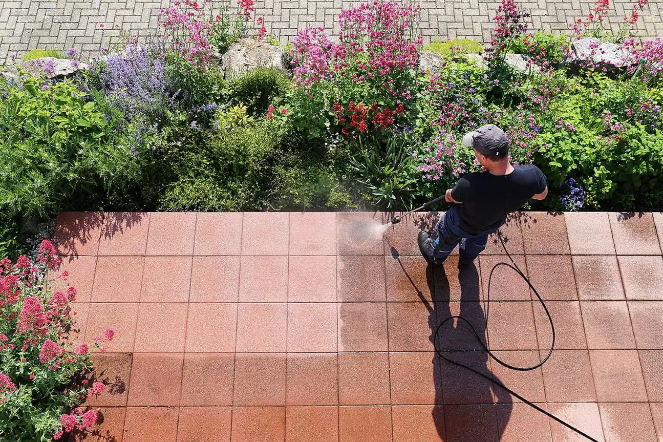 Freshly cleaned green backyard in Cincinnati